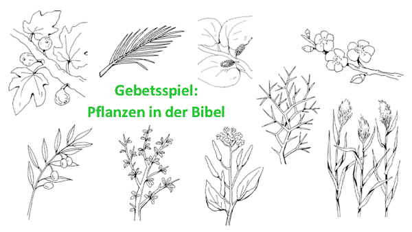 Bibel Materialien für den Religionsunterricht calwer Verlag